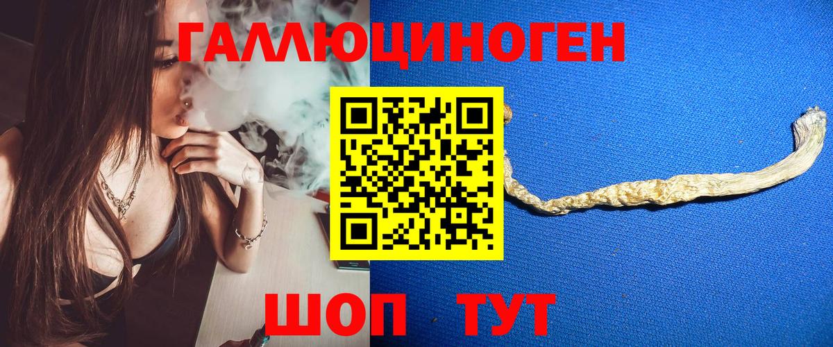 Псилоцибиновые грибы Psilocybine cubensis  Галлюциногенные грибы Cubensis  Вход с VPN  Балаково 
